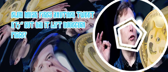 Elon musk cryptocurrency dogecoin price