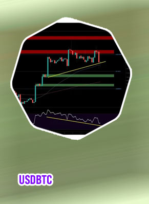 Usdbtc