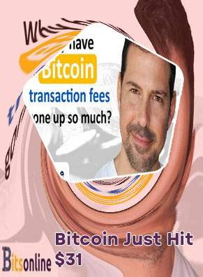 Why has bitcoin gone up